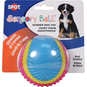 Ethical Dog 689733 Sensory Ball Rubber Dog Toy&#44; Medium
