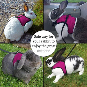 PEACNNG Rabbit Harness and Leash, Pink, Mesh Nylon Fabric, Touch Fasteners for Securing, Pink colored Harness