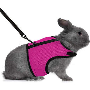 PEACNNG Rabbit Harness and Leash, Pink, Mesh Nylon Fabric, Touch Fasteners for Securing, Pink colored Harness