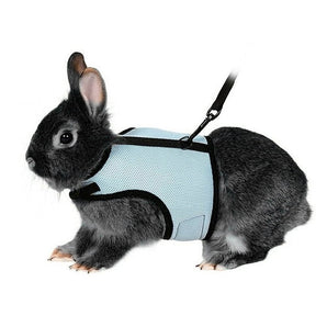 Soft Harness with Lead for Rabbits Bunny Little Pets - Size L(Blue)
