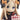 Fate Grand Order Chibikyun Foreigner Abigail